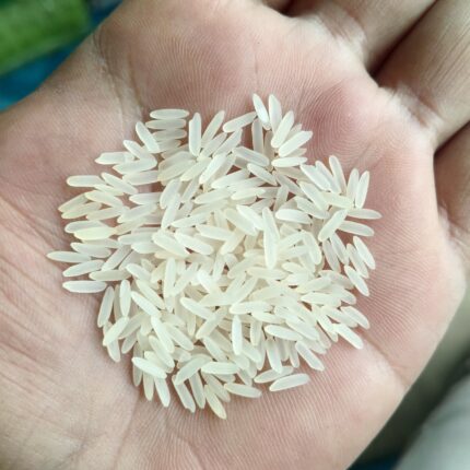 Miniket Rice Gold